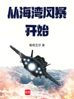 从海湾风暴开始封面