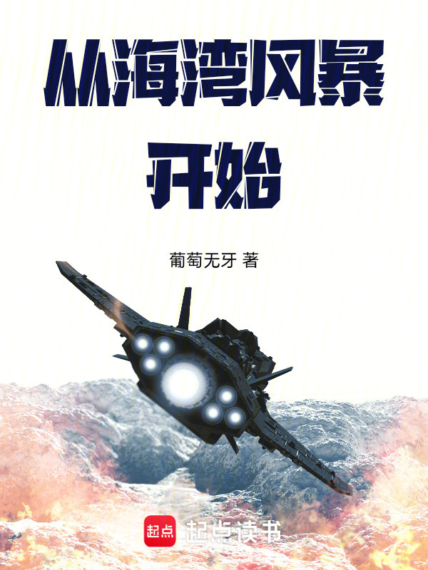 从海湾风暴开始在线阅读