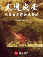 武道成圣，从每日武学加点开始在线阅读