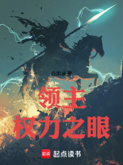 领主：权力之眼在线阅读