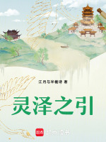 灵泽之引最新章节在线阅读