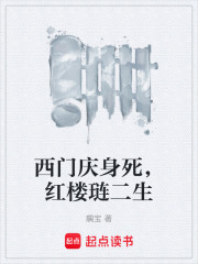 西门庆身死，红楼琏二生