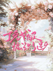 丁克女被惦记上了遗产在线阅读