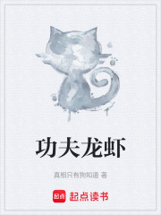 功夫龙虾在线阅读
