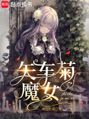 矢车菊魔女在线阅读