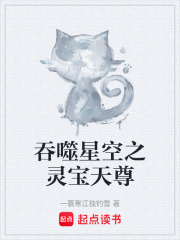 吞噬星空之灵宝天尊