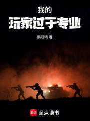 我的玩家过于专业在线阅读