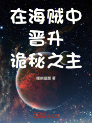 在海贼中晋升诡秘之主