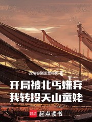 开局被北丐嫌弃，我转投天山童姥在线阅读