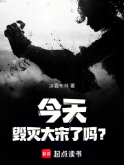 今天毁灭大宋了吗？在线阅读