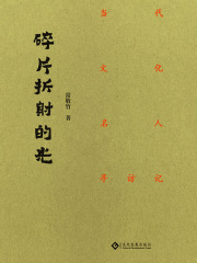 碎片折射的光：当代文化名人寻访记