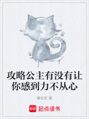 攻略公主有没有让你感到力不从心