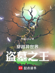 穿越异世界之我是盗墓之王在线阅读