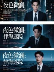 夜色微澜：律海迷踪