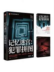 记忆迷宫：犯罪拼图在线阅读