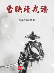 雪映靖戎谱在线阅读