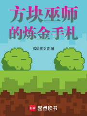 方块巫师的炼金手札在线阅读