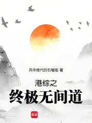 港综之终极无间道