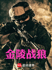 金陵战狼在线阅读