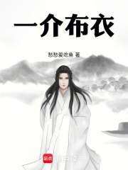 一介布衣在线阅读