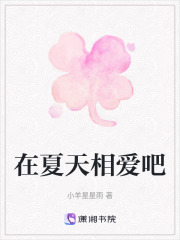 在夏天相爱吧在线阅读