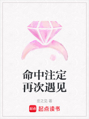 命中注定再次遇见