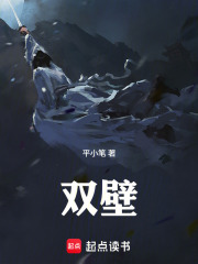 双壁在线阅读