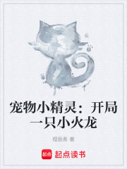 宠物小精灵：开局一只小火龙