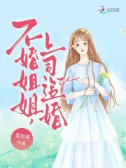 不婚姐姐，上司追婚在线阅读