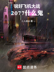 说好飞机大战，2077什么鬼在线阅读