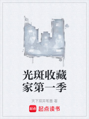 光斑收藏家第一季在线阅读