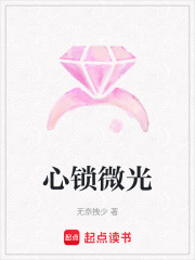 心锁微光在线阅读