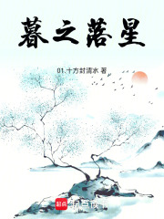 暮之落星在线阅读