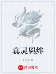 真灵羁绊在线阅读