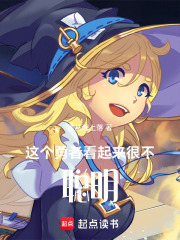 这个勇者看起来很不聪明在线阅读