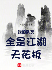 我的队友全是江湖天花板在线阅读