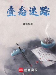 叠态迷踪在线阅读