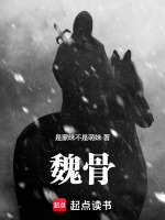 魏骨封面
