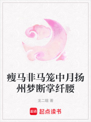 瘦马非马笼中月扬州梦断掌纤腰在线阅读
