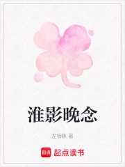 淮影晚念在线阅读