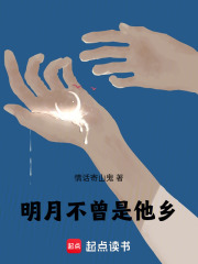 明月不曾是他乡在线阅读