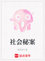 社会秘案在线阅读