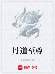 丹道至尊在线阅读