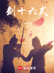 剑十六式在线阅读