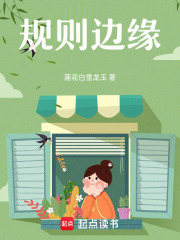 规则边缘在线阅读