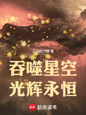 吞噬星空：光辉永恒封面