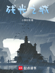 残光之城在线阅读