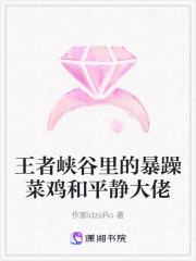 王者峡谷里的暴躁菜鸡和平静大佬在线阅读