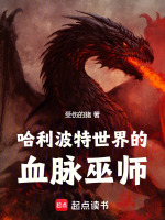 哈利波特世界的血脉巫师封面