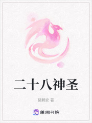 二十八神圣在线阅读